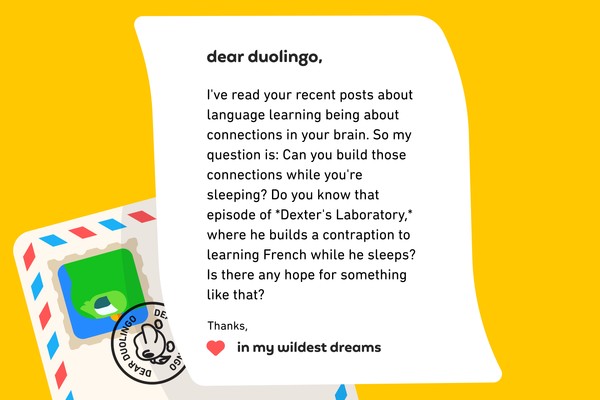 Brain during sleep