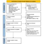 Federated Learning Process
