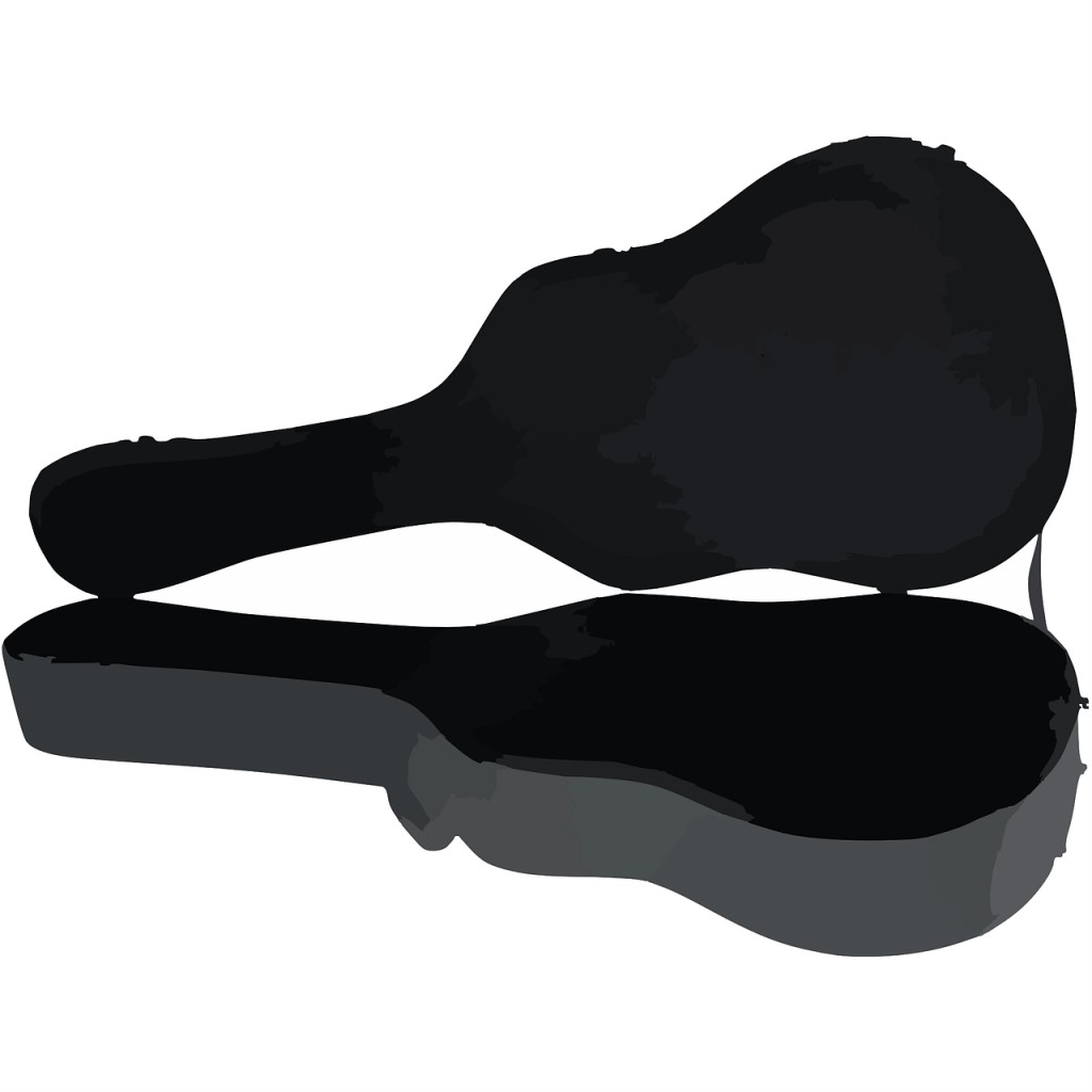 guitar case