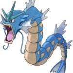 Gyarados illustration, highlighting its serpentine body and fierce expression