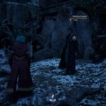 Talk to Ominis to start the In the Shadow of the Relic side quest