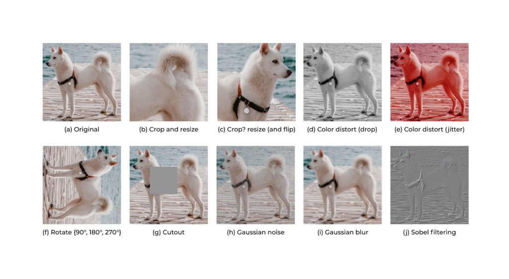 Factors Influencing Machine Learning Dataset Size