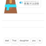 Mandarin Chinese