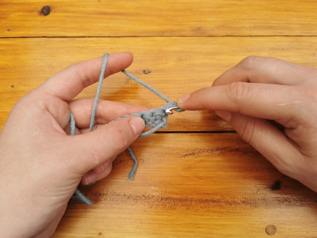 Insert the hook into the first stitch