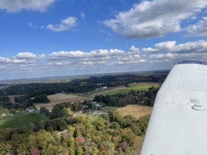 In flight over trees