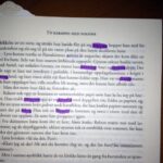 Inside a Norwegian language novel