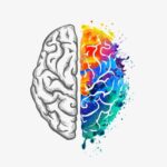 Is it hard to learn drums neuroplasticity visual