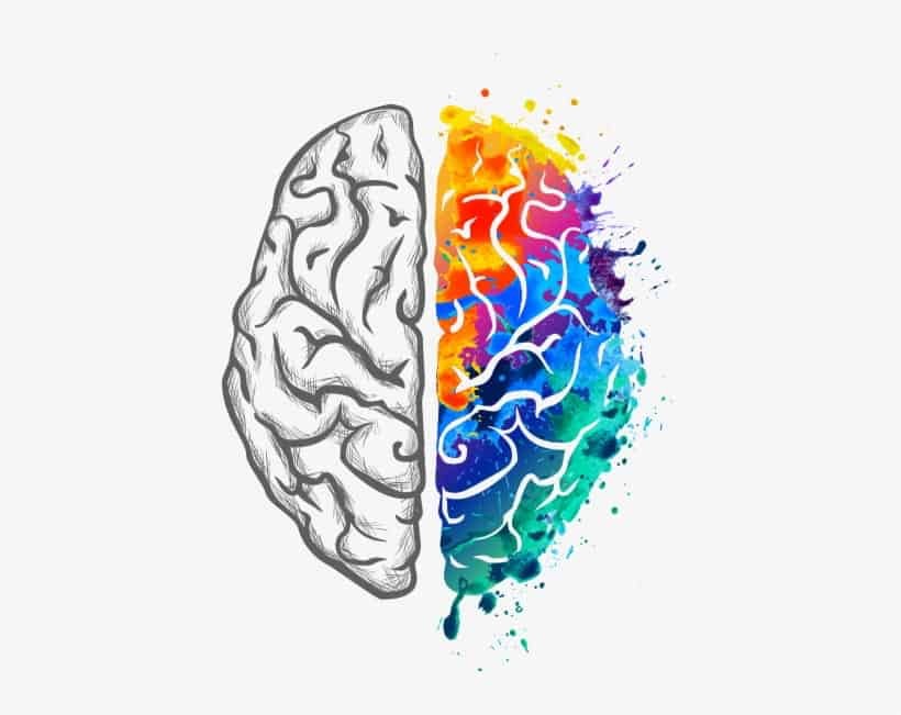 Is it hard to learn drums neuroplasticity visual