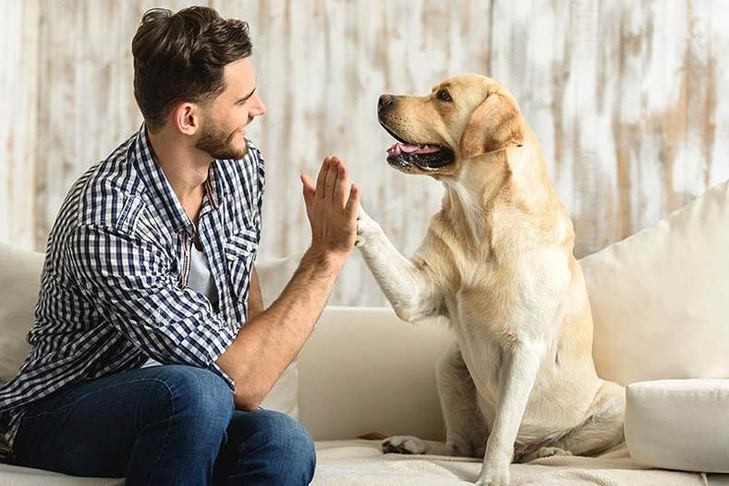 A person holding a dog and smiling.