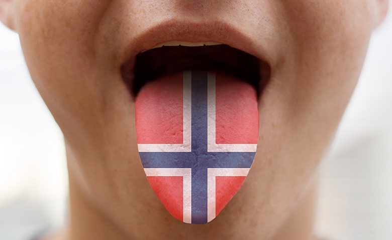 Norwegian Language Class 101