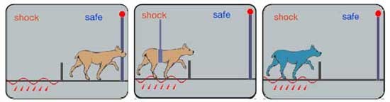 Preventing Learned Helplessness