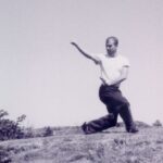 Martial arts training session