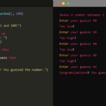 Choosing the Right Coding Language