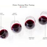 Palate-Training-Wine-Tasting