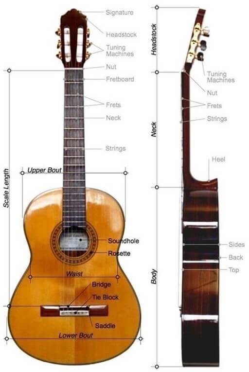 parts of western acoustic guitar