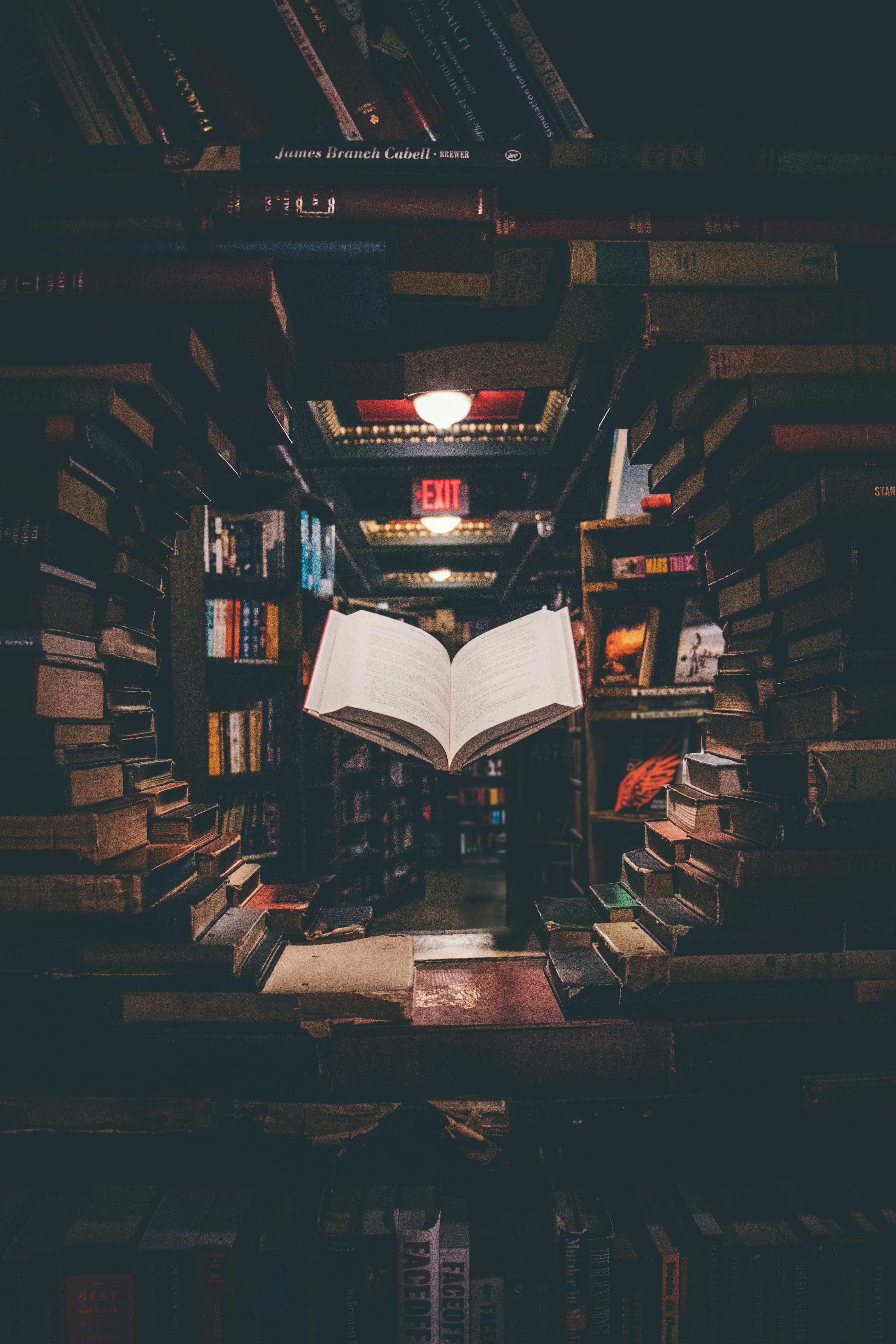 Reading as a Habit of Lifelong Learners