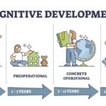 Stages of Cognitive Development.