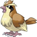 Pidgey artwork by Ken Sugimori