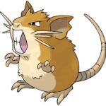 Raticate Artwork by Ken Sugimori