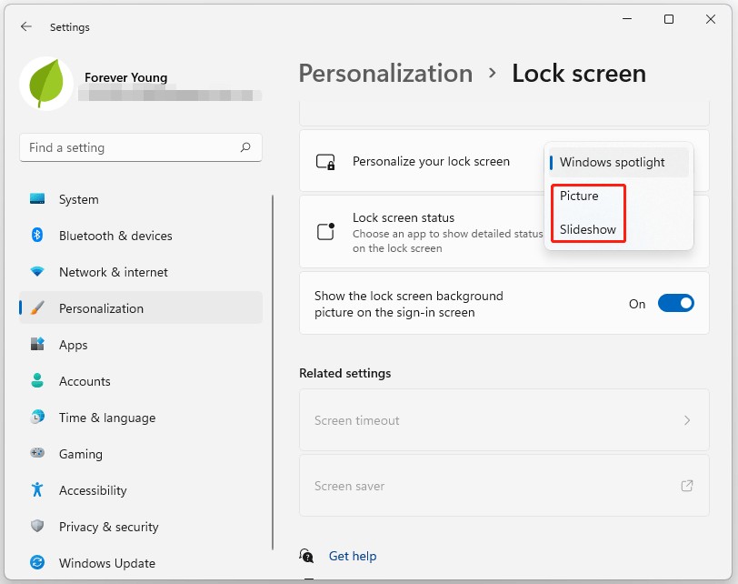 Disable Windows Spotlight Theme