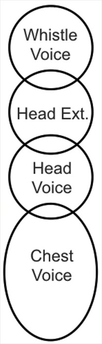 Chart illustrating chest voice, head voice, extended head voice, and whistle registers
