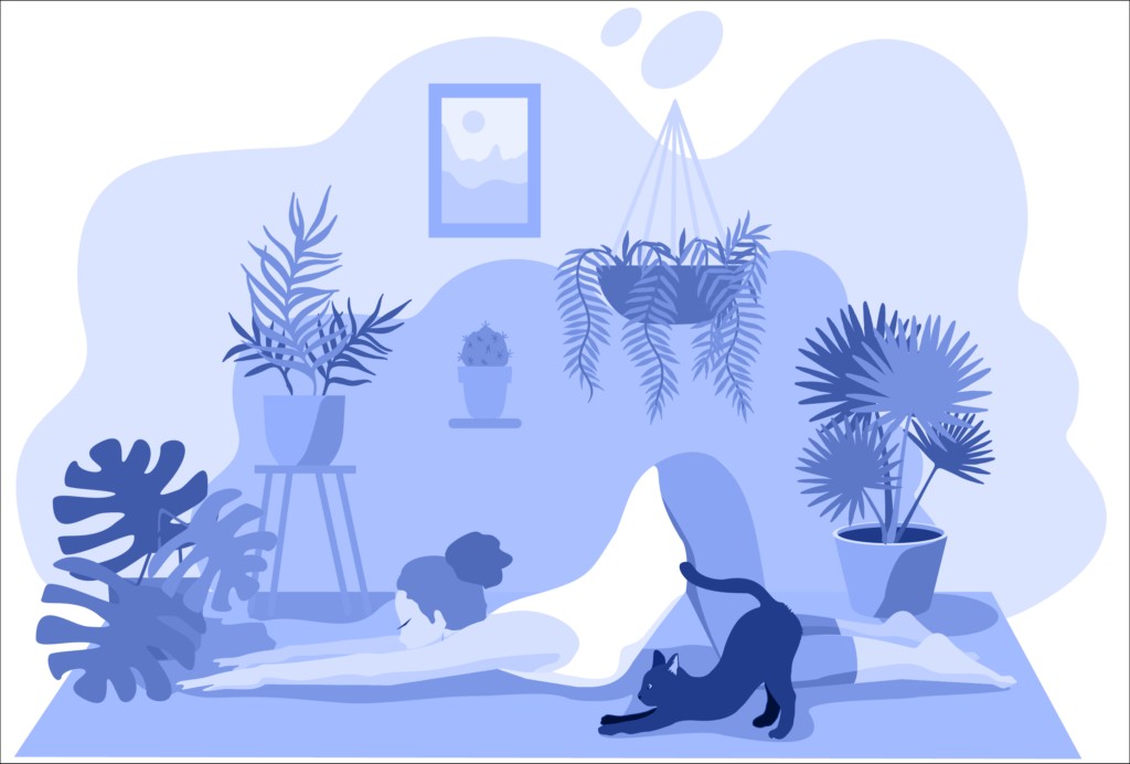 How to meditate—some basic meditations