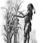 Squanto demonstrating how well the pilgrim’s corn grew, illustration published in The Teaching of Agriculture in High School, Garland Bricker, 1911
