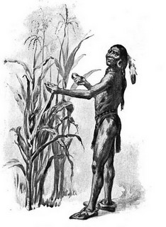 Squanto demonstrating how well the pilgrim’s corn grew, illustration published in The Teaching of Agriculture in High School, Garland Bricker, 1911