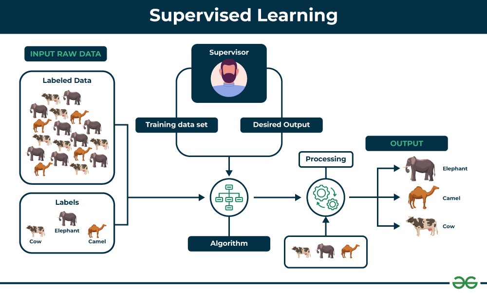 Supervised learning example with labeled data