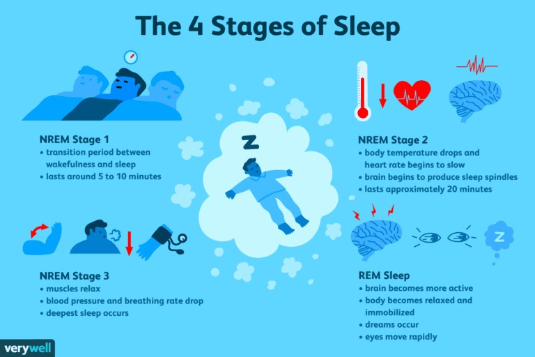 Four stages of sleep