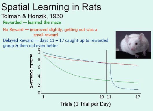 Tolman's Cognitive Map Theory