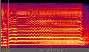 Spectrogram of Vibrato